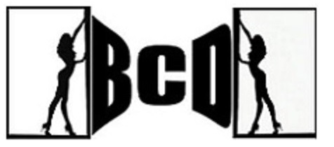 bcd3 - Copy