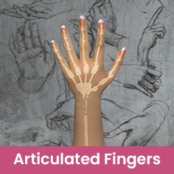 Articulated Fingers