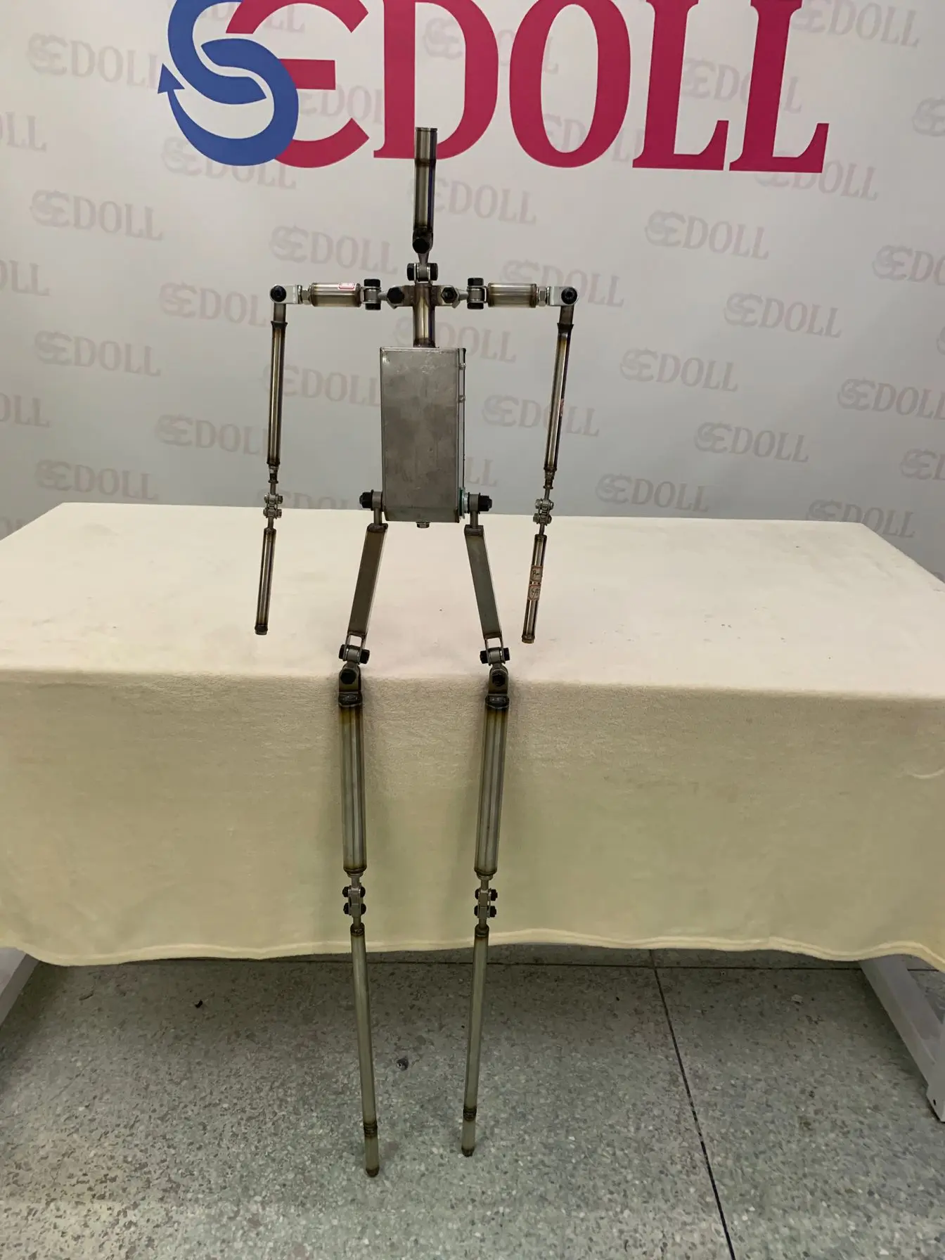 skeleton 1