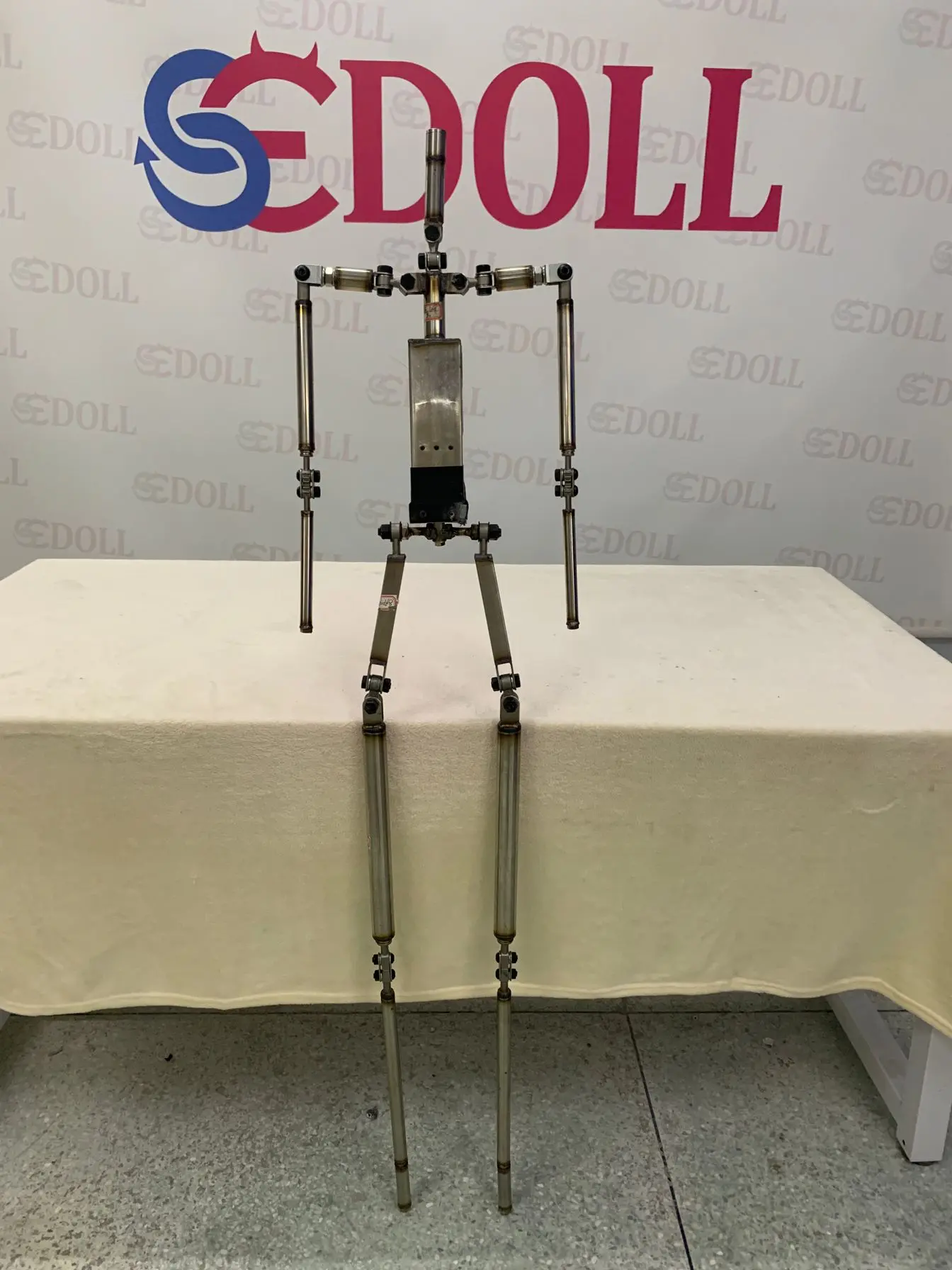 skeleton 2